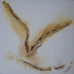 Sans titre -18.03.2010 - 60 x 60